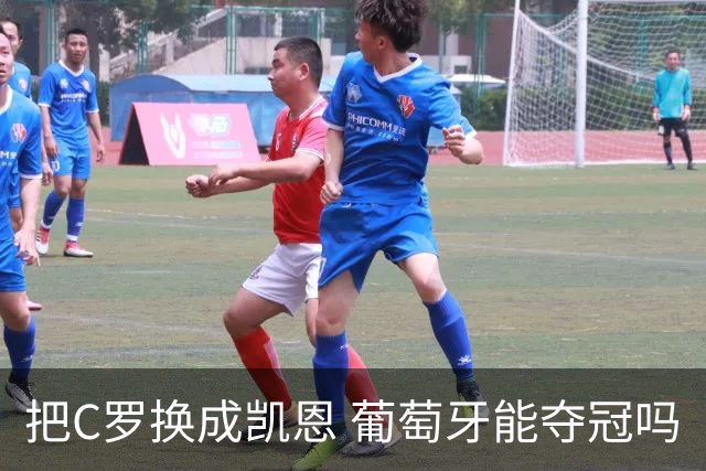 把C罗换成凯恩 葡萄牙能夺冠吗
