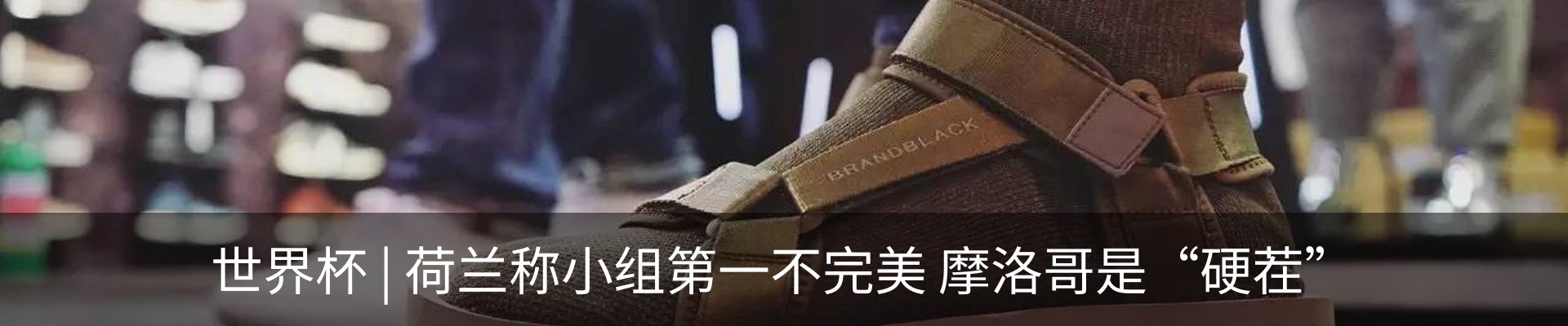 新闻动态