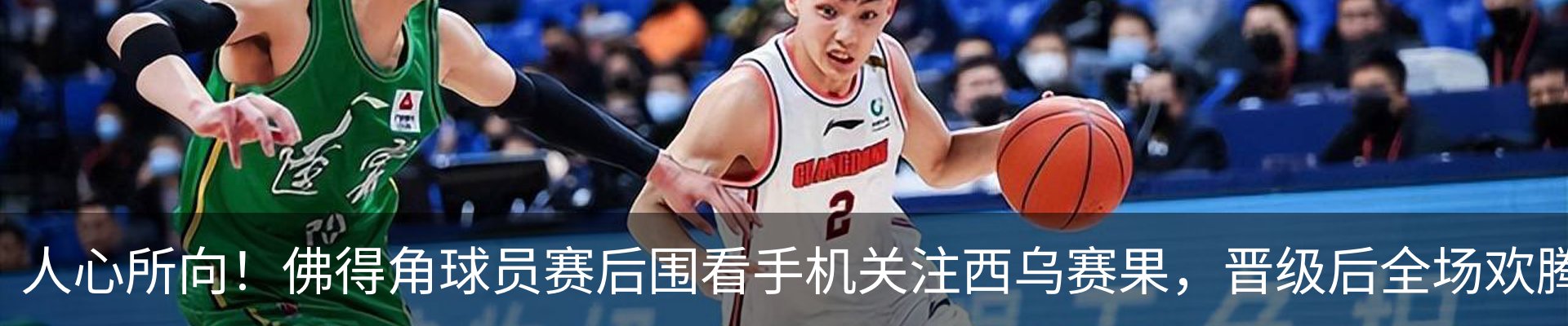 新闻动态