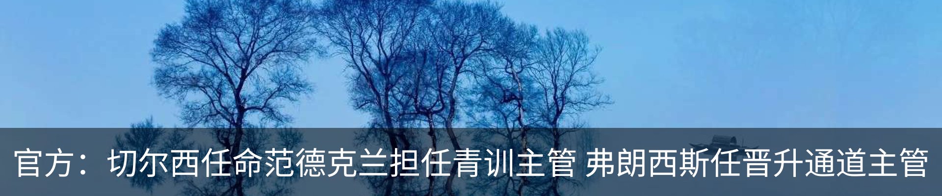 新闻动态
