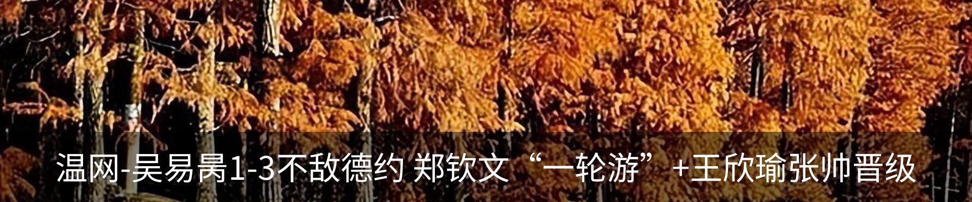 新闻动态