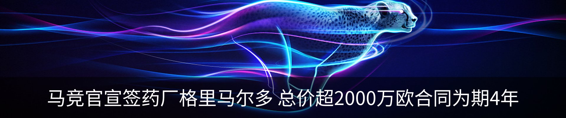 新闻动态