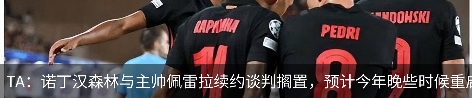 新闻动态